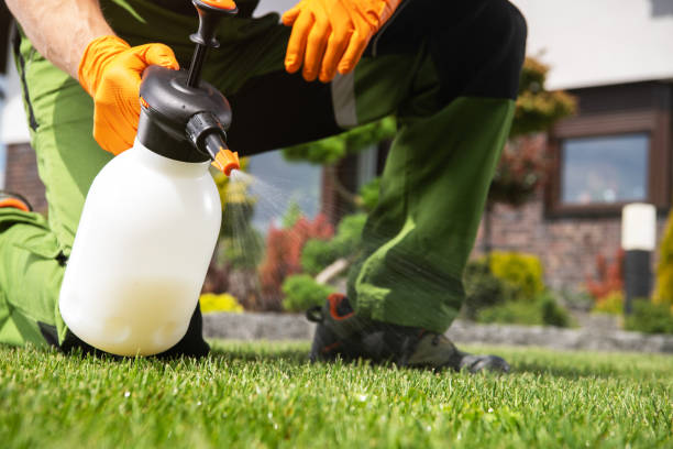Professional Pest Control in Lafayette, LA