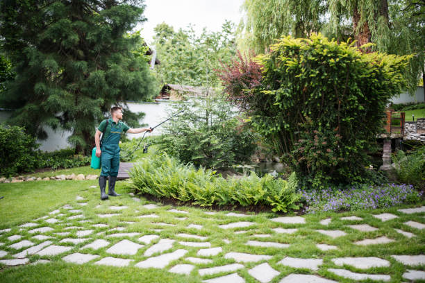 Best Wasp Removal Services  in Fayette, LA