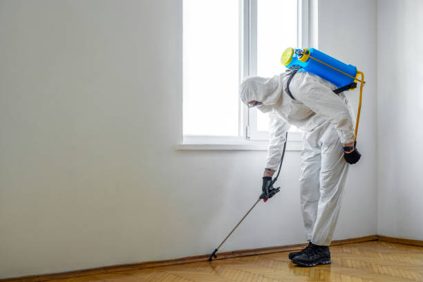 Best Emergency Pest Control  in Fayette, LA