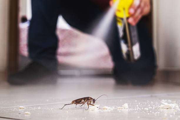 Best Pest Control Near Me in Lafayette, LA