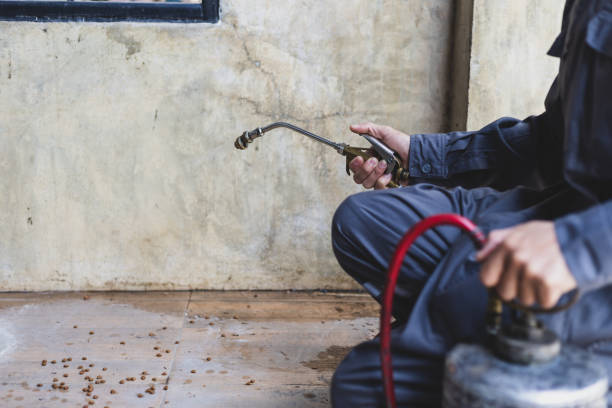 Best Emergency Pest Control  in Fayette, LA